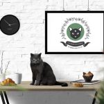Photo: Black Cat Market