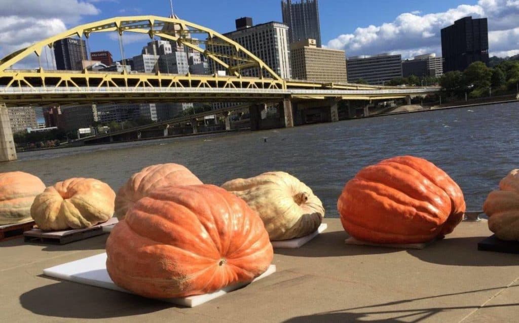 pittsburgh fall festivals