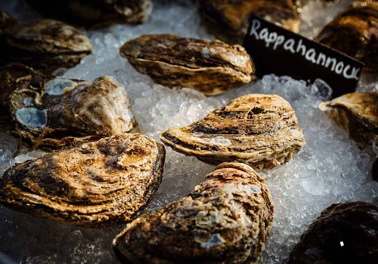 11 Great Places to Eat Oysters in Pittsburgh