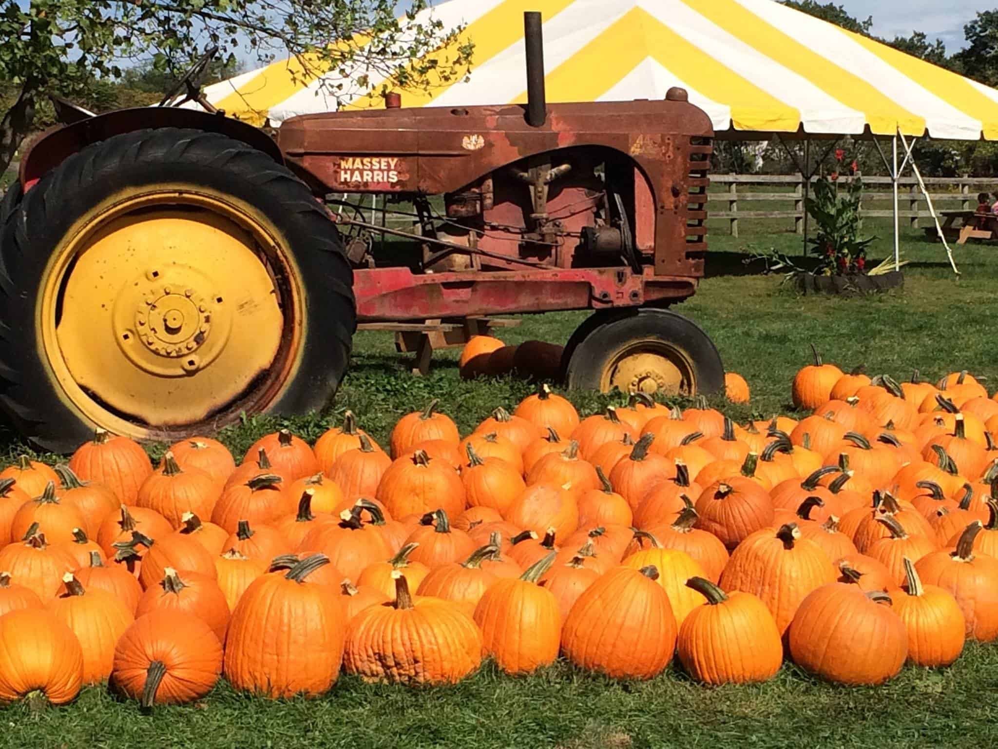 Pumpkin Patches Near Me Pittsburgh Pumpkin Patches 2021