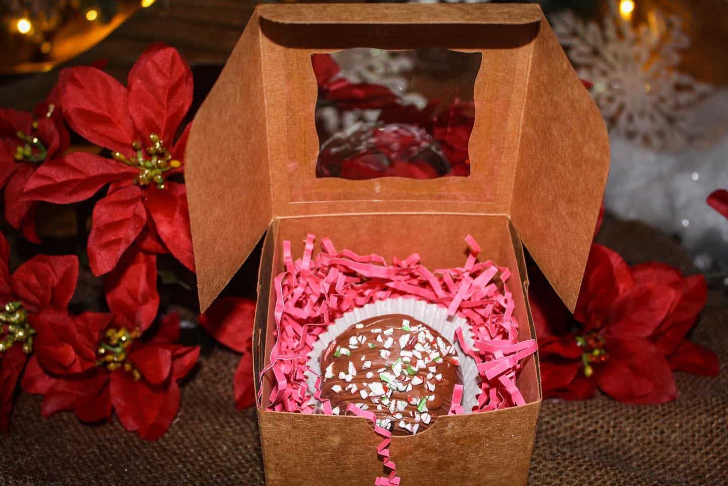 Hot Cocoa Bombs Near Pittsburgh Where to Find Your New Favorite Treat