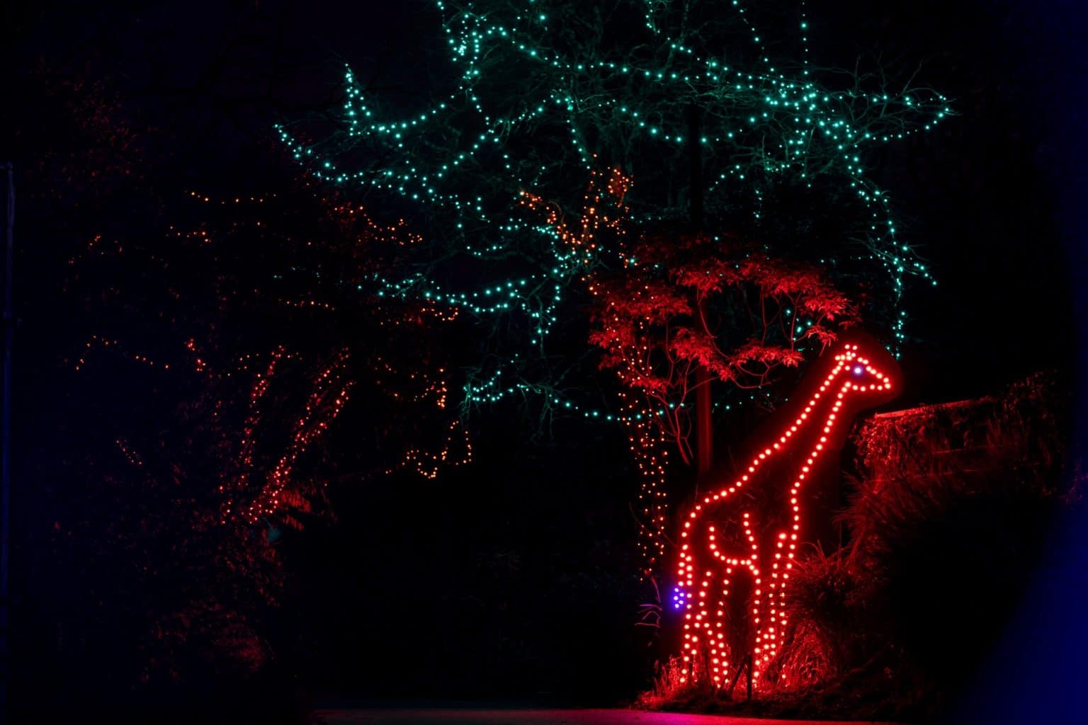 All The Best DriveThru Christmas Lights Near Pittsburgh