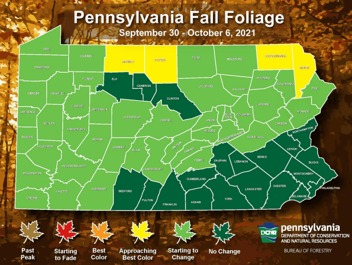 Pennsylvania Fall Foliage 2021 When To See Fall's Best Colors