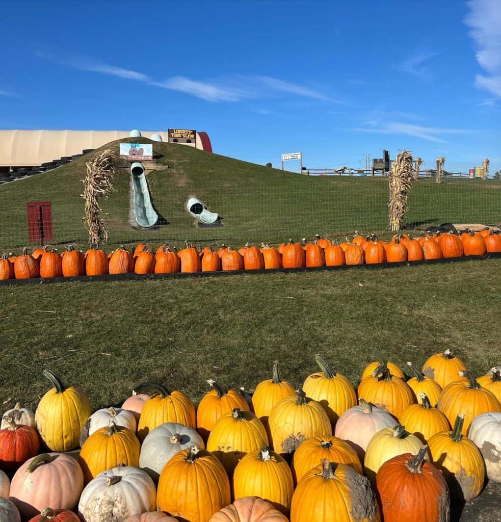 Pittsburgh Fall Festivals 2023 feature Triple B Farms Fall Fun. 