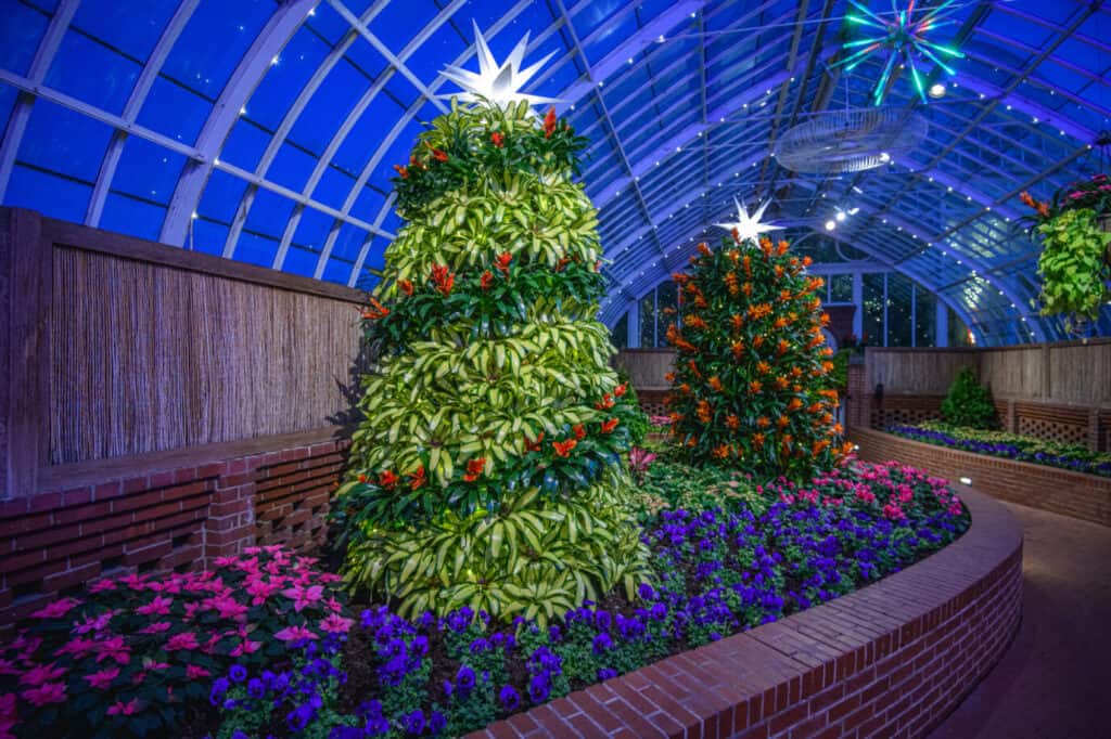 Holiday magic! The Winter Flower and Light Show is one of the Pittsburgh holiday events you can experience this year. 